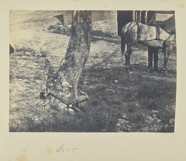 A. J. Russell, Breaking and Bending Rails Around Tree