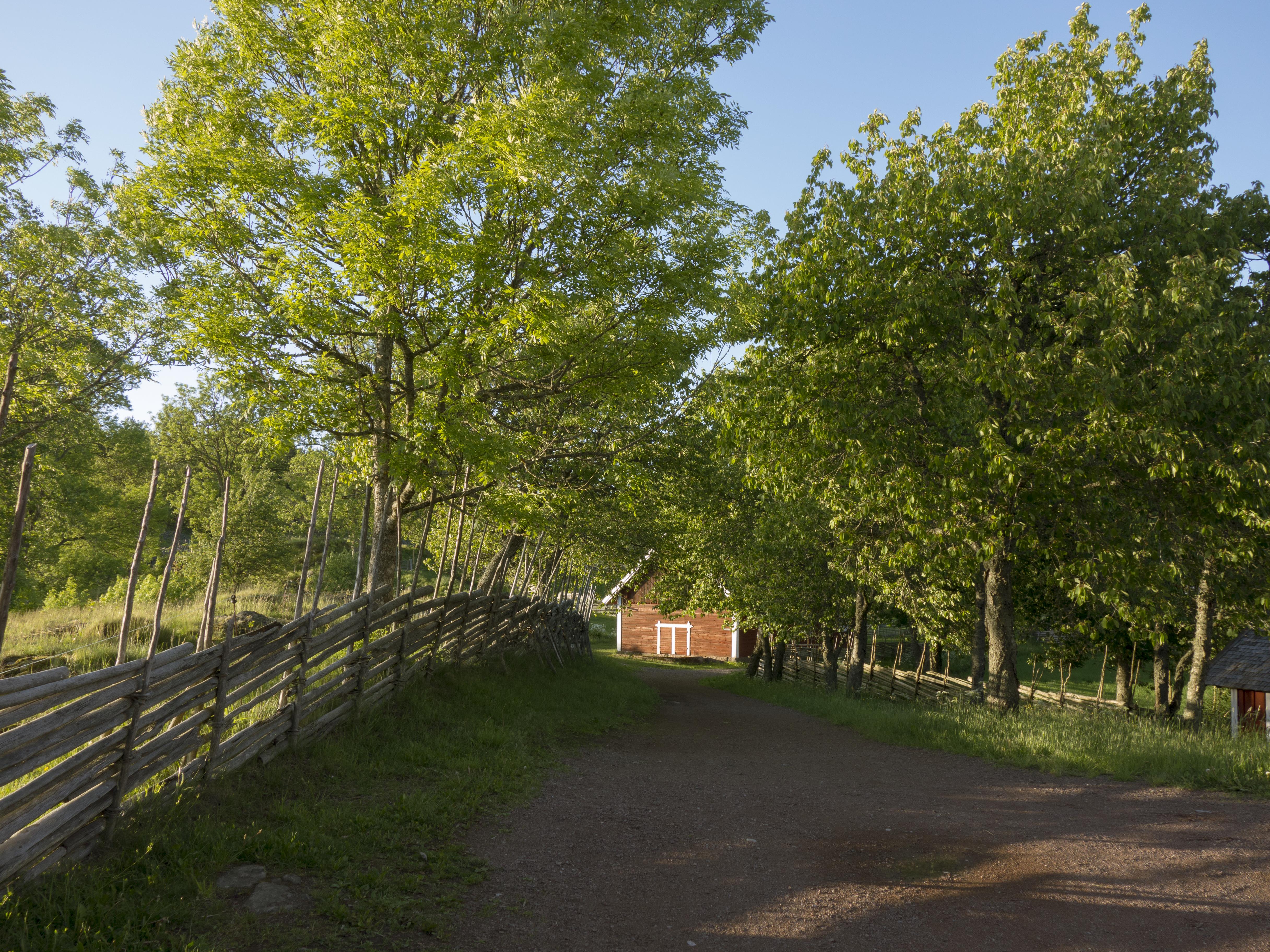 Leif Gren, Åsens by