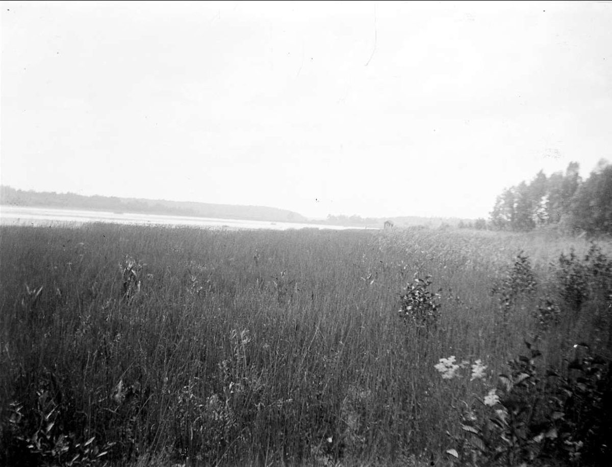 August Fredrik Schagerström, Landskapsvy med Väsbysjön, Penningby, Länna socken, Uppland 1927