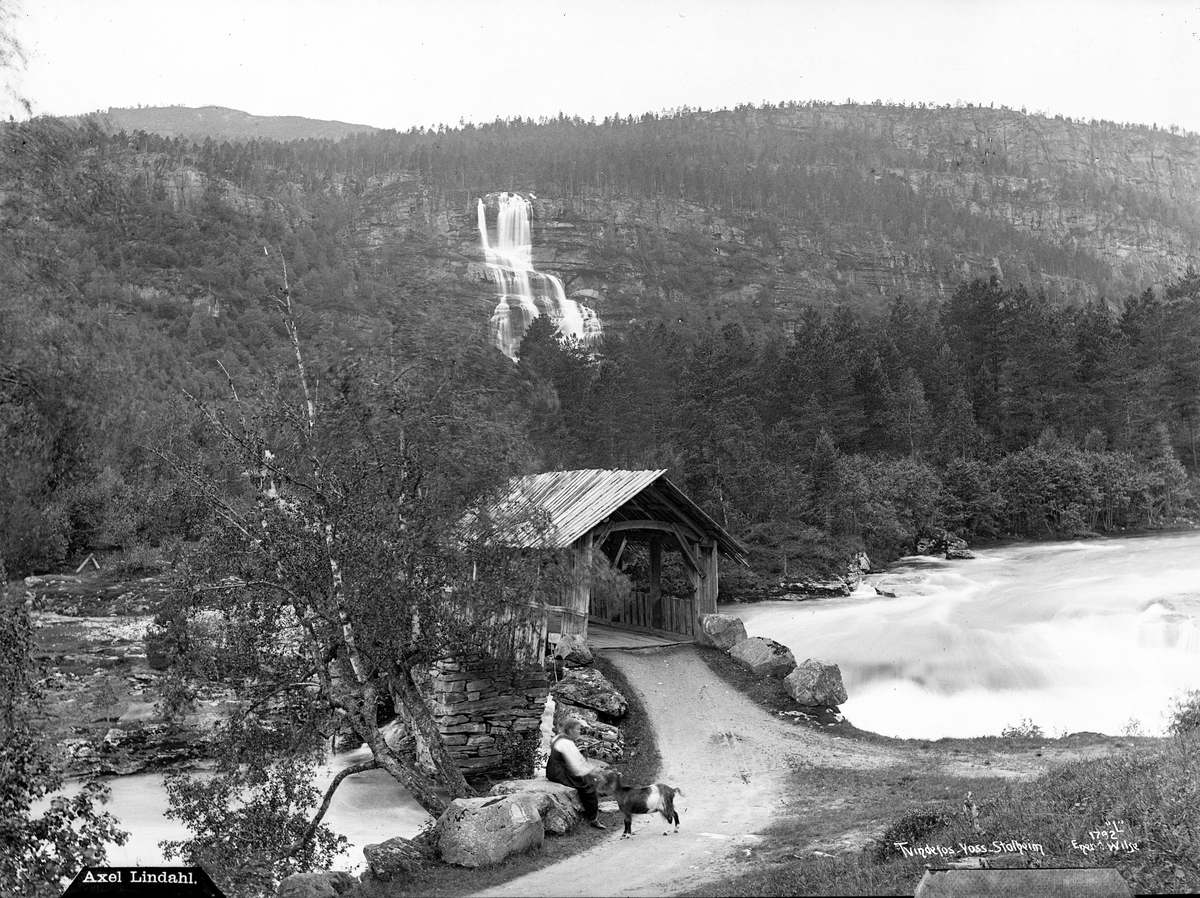Axel Lindahl, Prot: Voss Tvindefoss