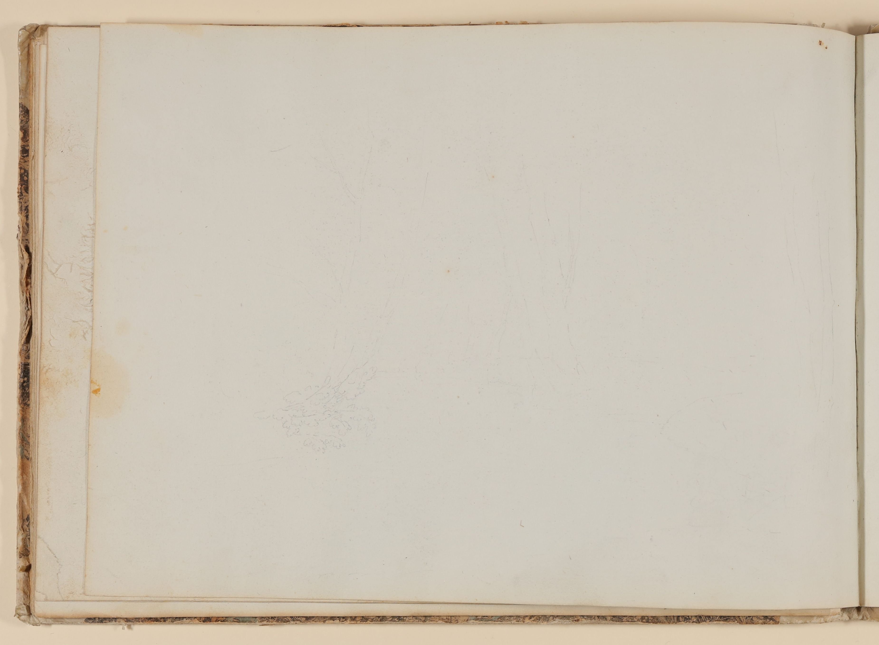 Rosette Städel, Pflanzenstudie [aus einem Skizzenbuch der Rosette Städel, Blatt 26v]