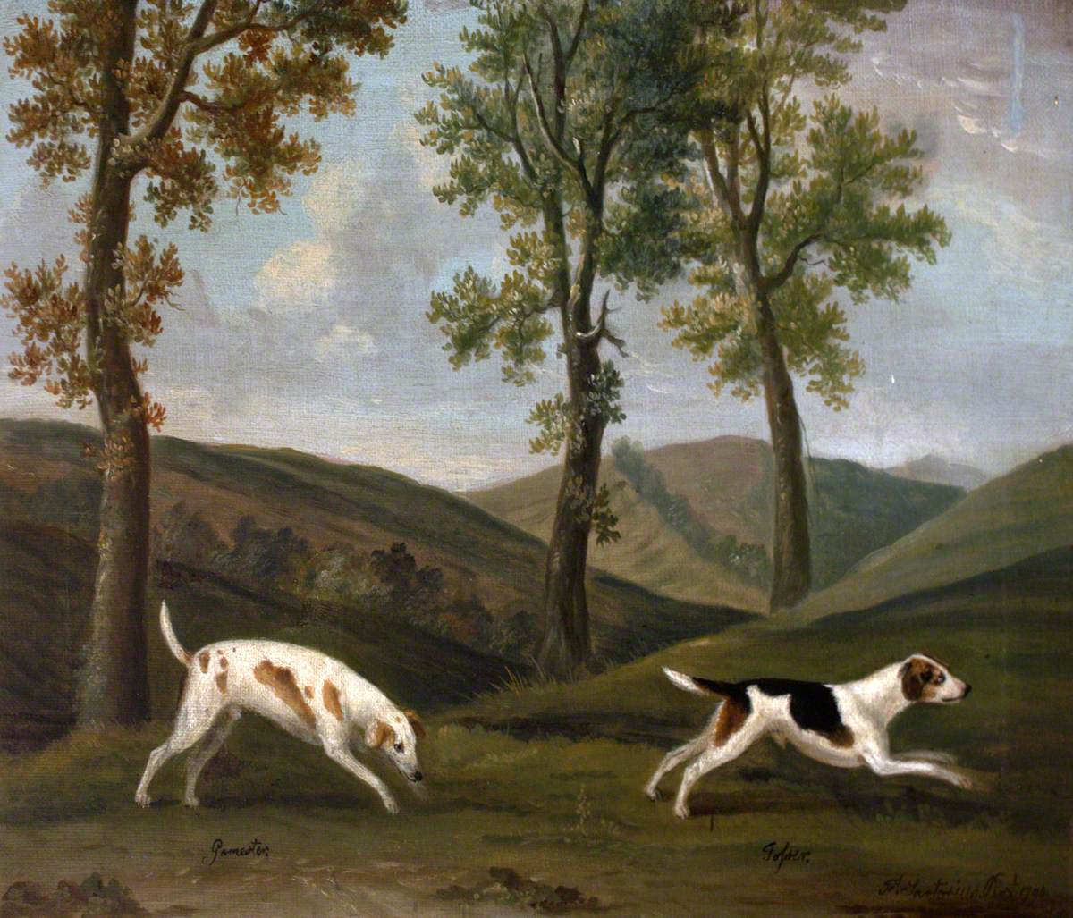 Francis Sartorius, 'Pamerton'/'Gamertes' and 'Jester'/'Tosser', a Pair of Hounds