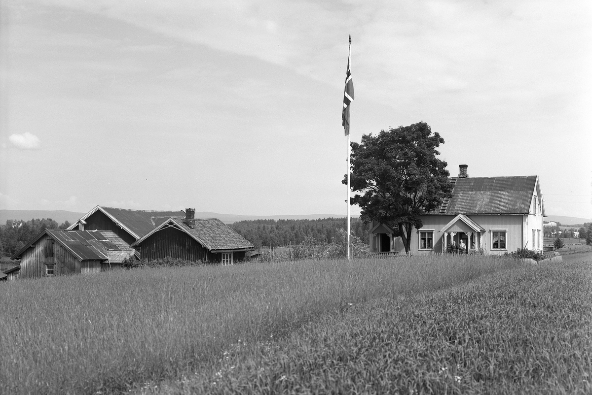 Anno Domkirkeodden, EKSTR: GARDSTUN, VOLLA. Se Løtenboka, bind 3. Bygdeboka fra 1955, side 484