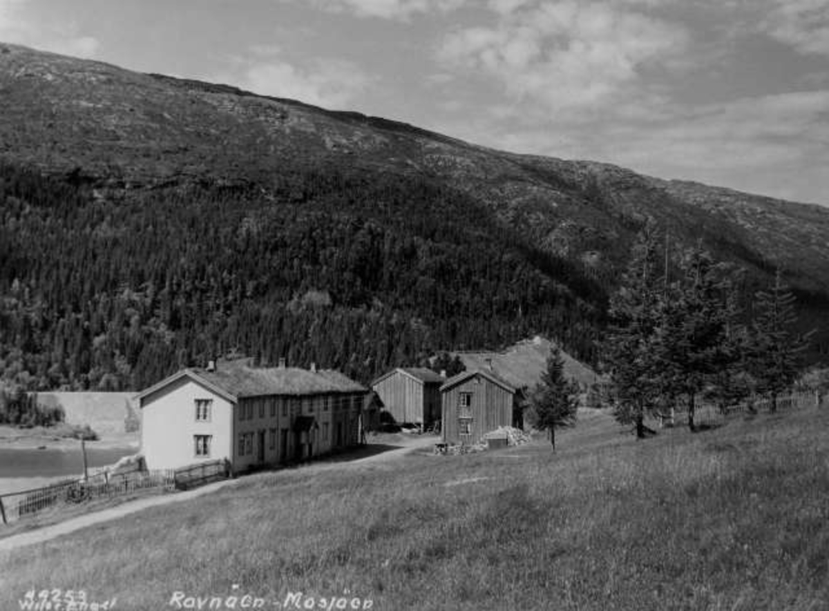 Anders Beer Wilse, Gårdstun med bygninger ved Laksfors, Ravnå ved Mosjøen. Fotografert av Anders Beer Wilse i 1936.