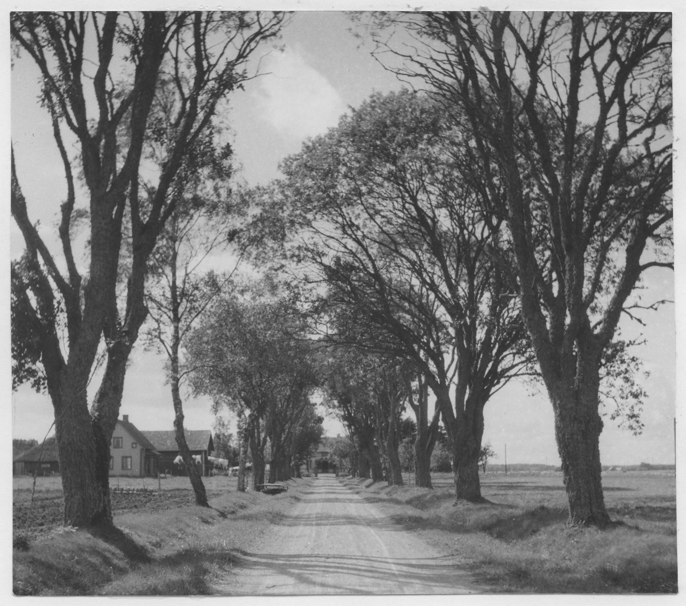 Mårten Sjöbeck, Hede