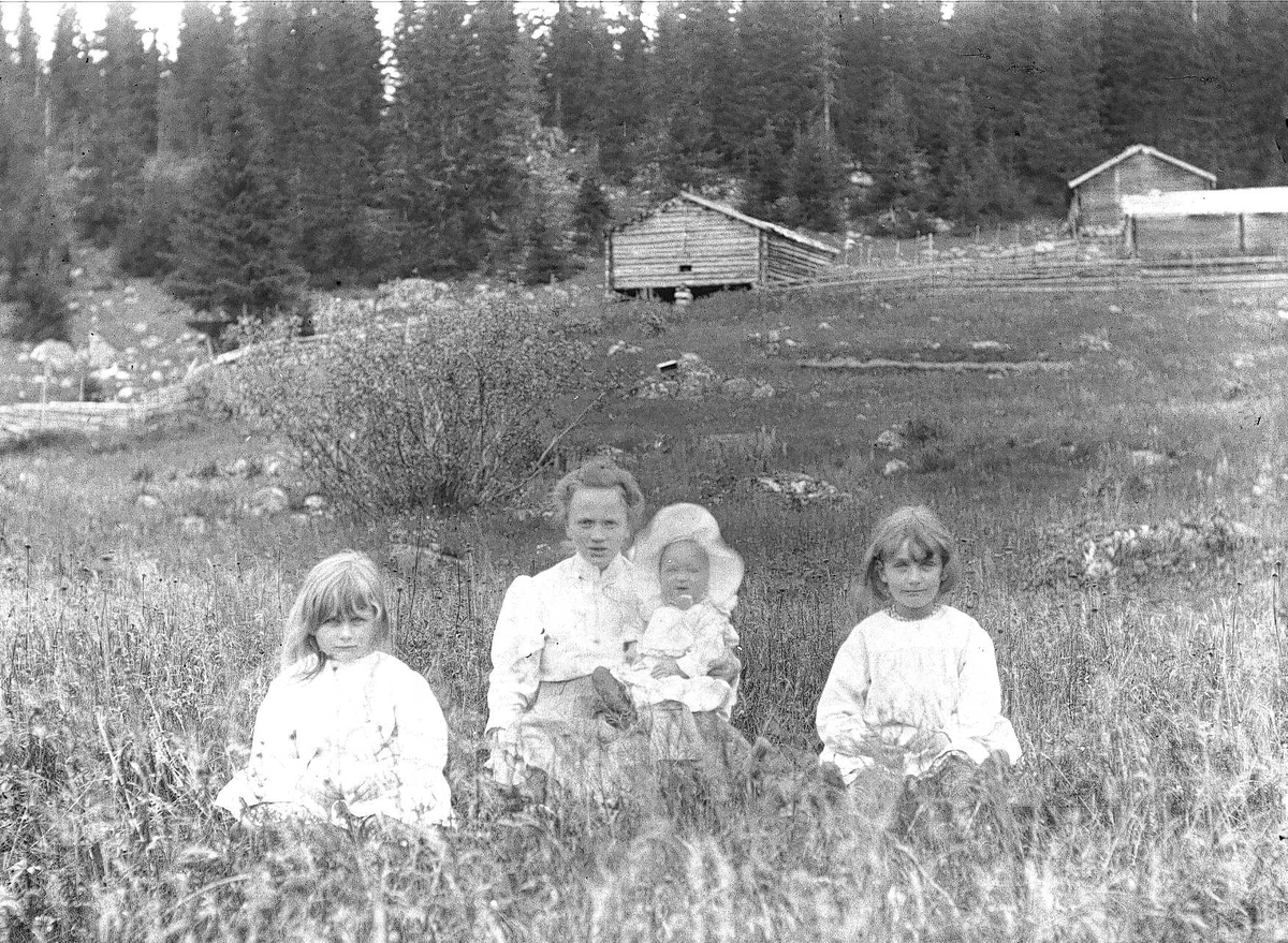 Axel Quinsgaard Wiborg, Familiemedlemmer på Holoa seter, Hadeland, Jevnaker, Oppland, 1903. Margrethe Q.Wiborg med tre av barna. Huset og setervollen.