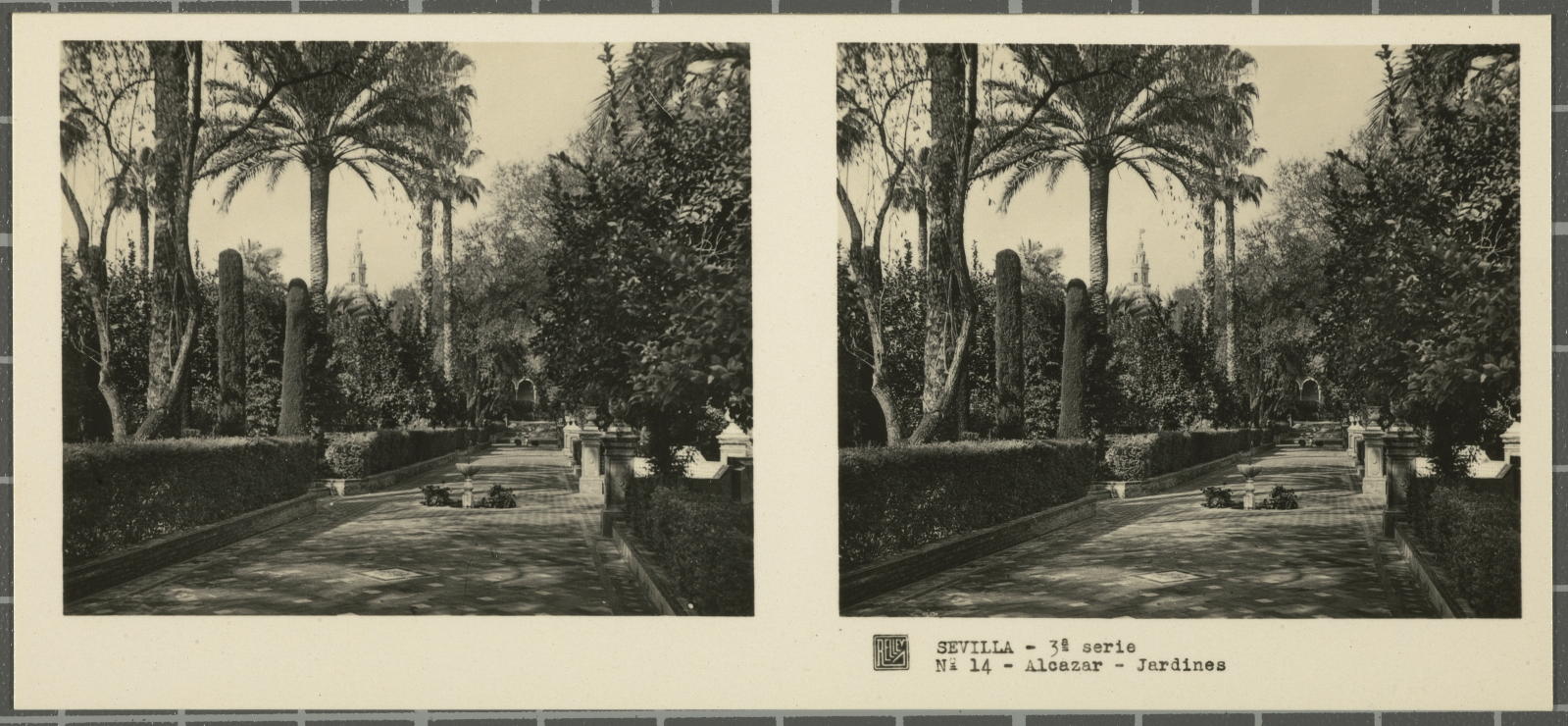 Desconegut, Sevilla