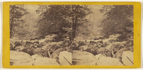 Edward and Henry T. Anthony & Co., The Glens of the Catskills. View from the top of the Five Cascades, looking Haines Gorge.