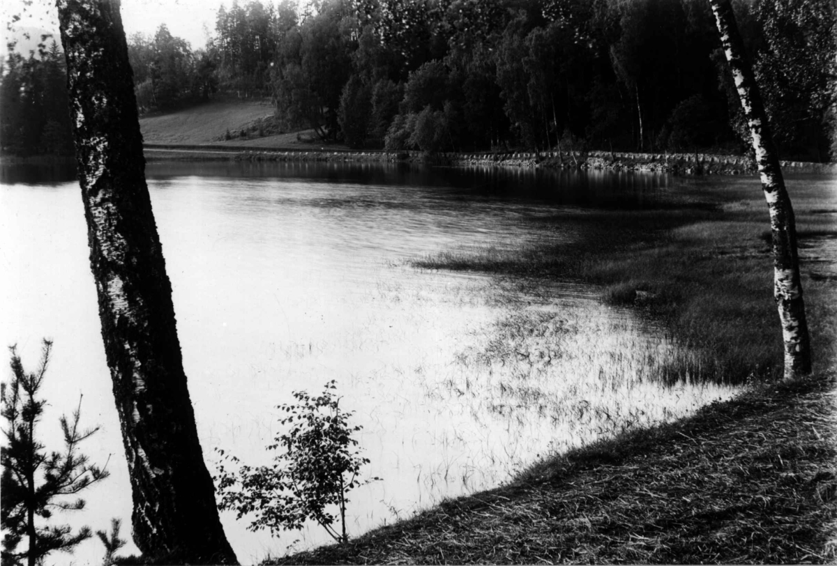 Hermann Christian Neupert, Fra Bogstad ca. 1923. Parken. Fra en vik av Bogstadvannet. Trær.