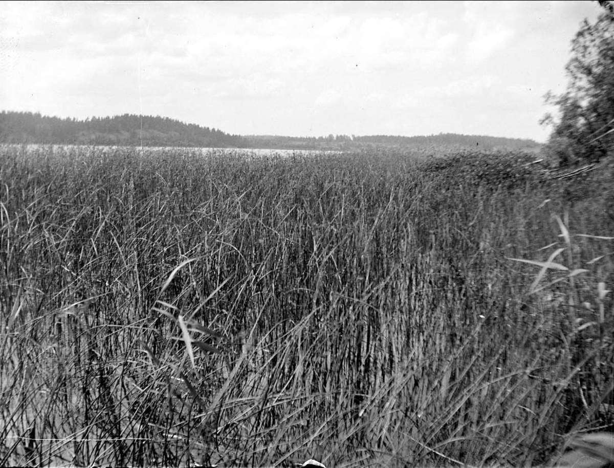 August Fredrik Schagerström, Landskapsvy med Kyrksjön, Länna socken, Uppland 1927