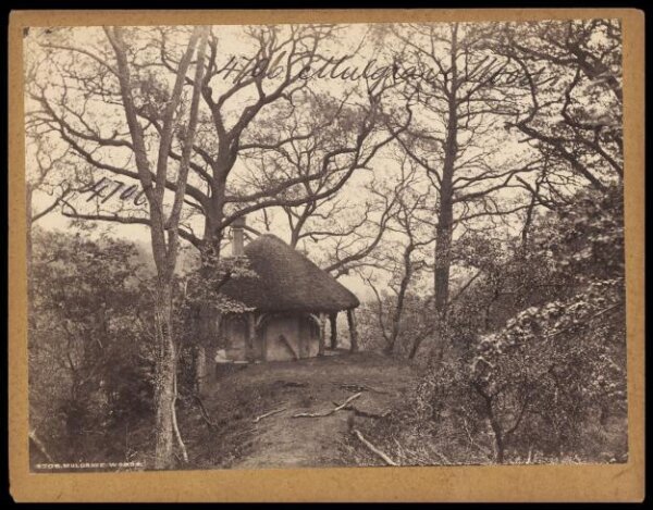 Francis Frith, Mulgrave Woods