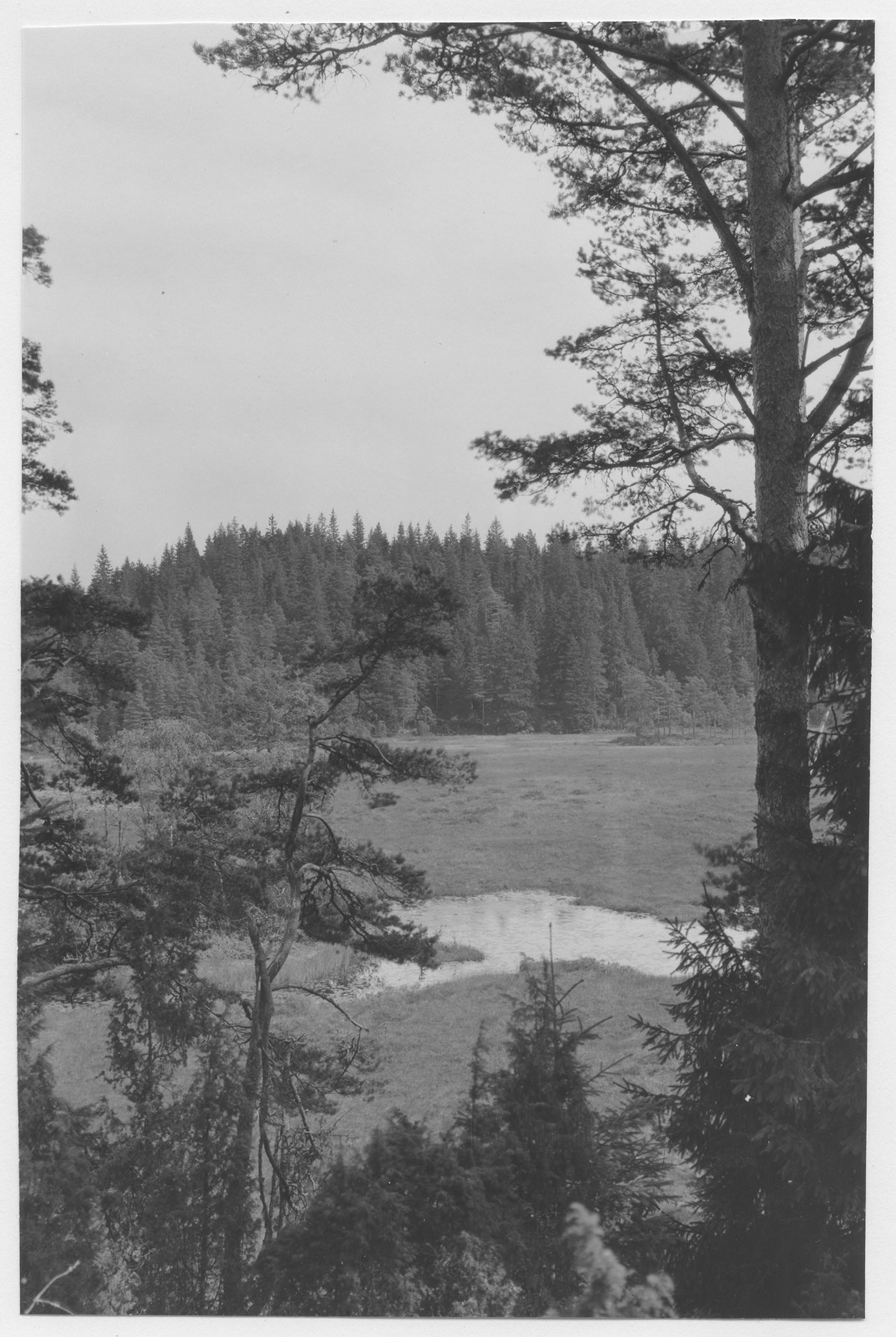 Mårten Sjöbeck, Femsjö socken, myrmark