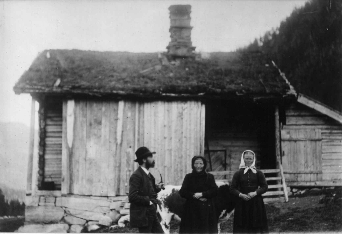 Ukjent, Fra en serie fotografier fra et album som har tilhørt folklorist og professor Moltke Moe (1859-1913), antatt fra 1880-årene med motiver fra Telemark.