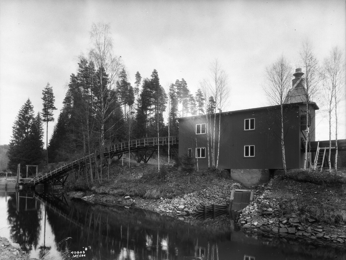 Anders Beer Wilse, Prot: Wiull Træsliperi