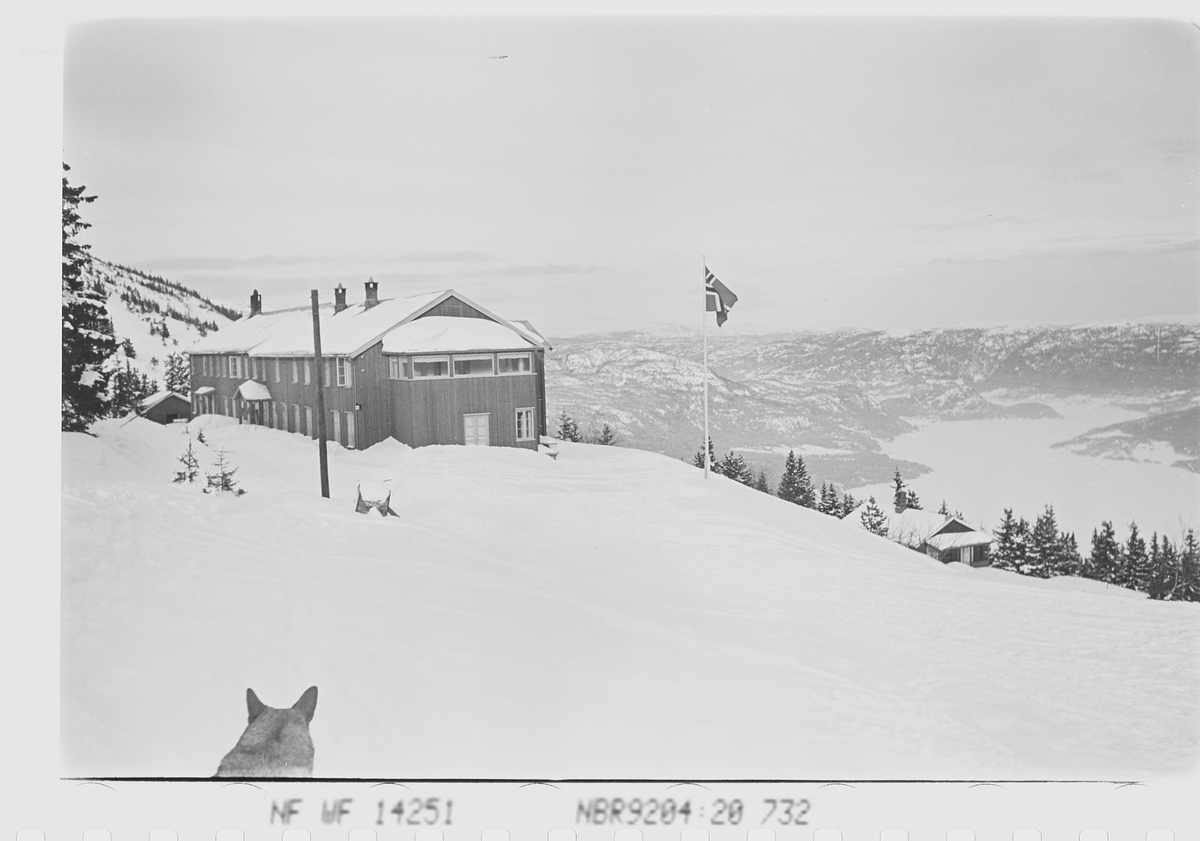 Anders Beer Wilse, Prot: Hotellet ""Fjellhvil""