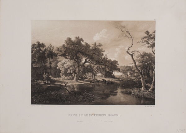 Adolph Kittendorff, Parti af de pontinske sumpe