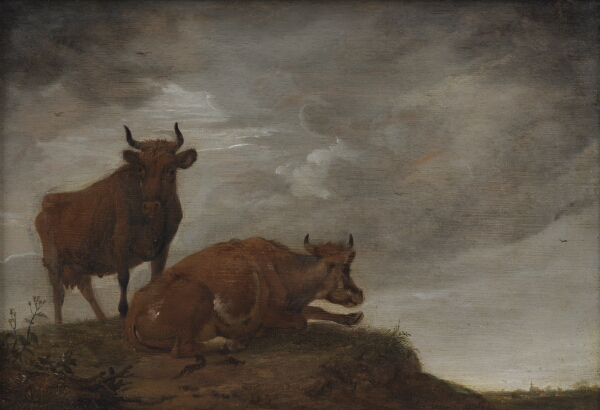 Paulus Potter, To køer på en høj