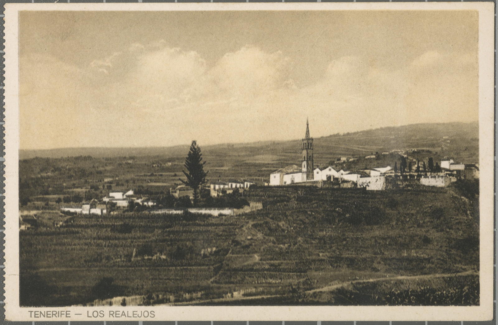 Desconegut, Tenerife - Los Realejos