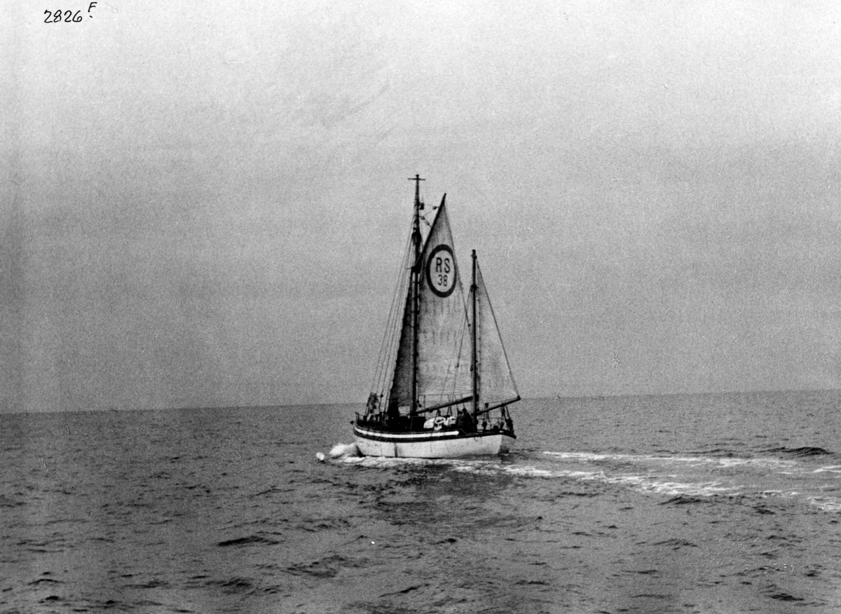 Anders Beer Wilse, Redningsskoyter