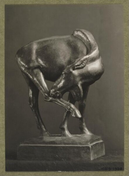 unknown, Photograph