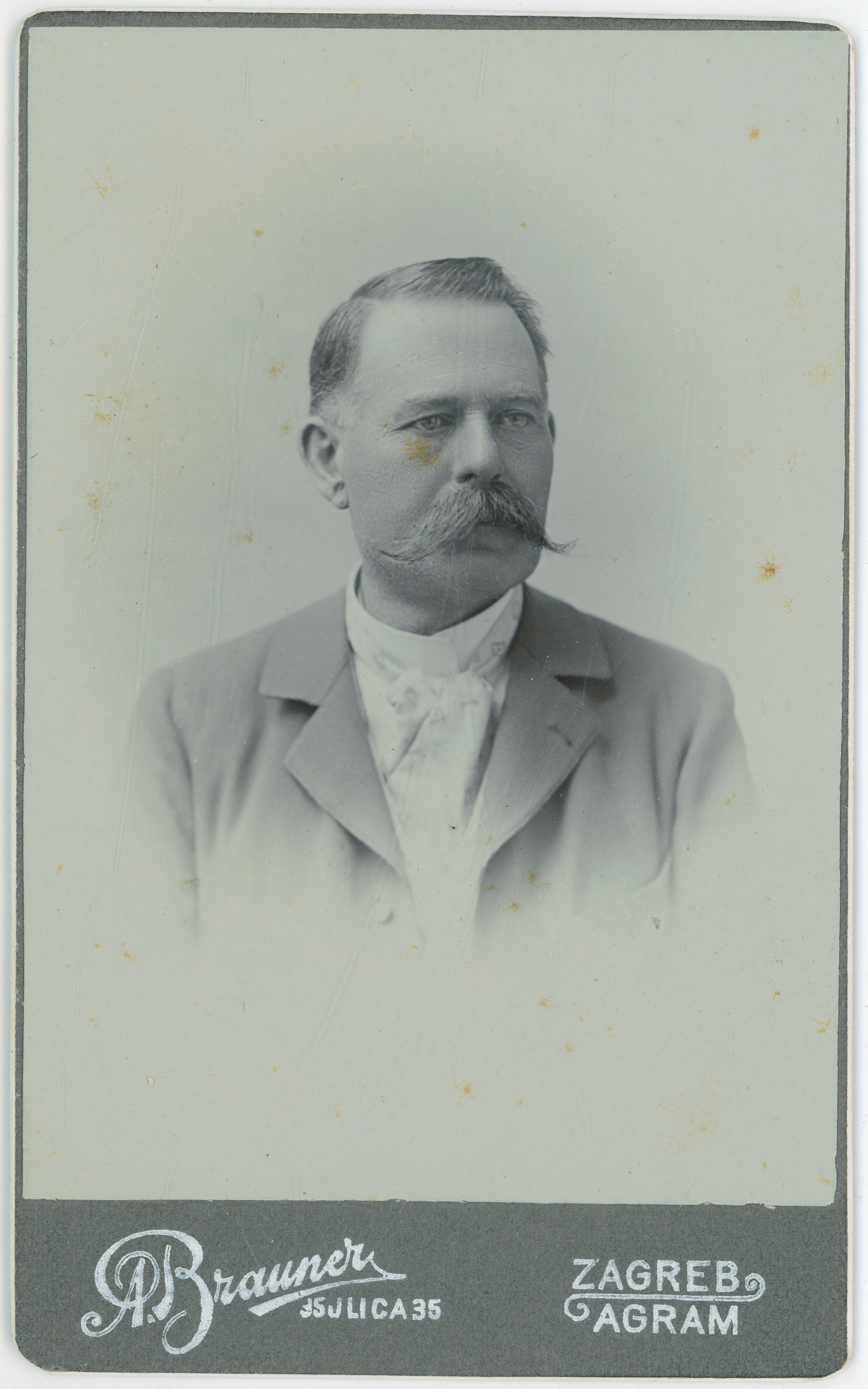 Arnold Brauner, Gospodin s brkovima