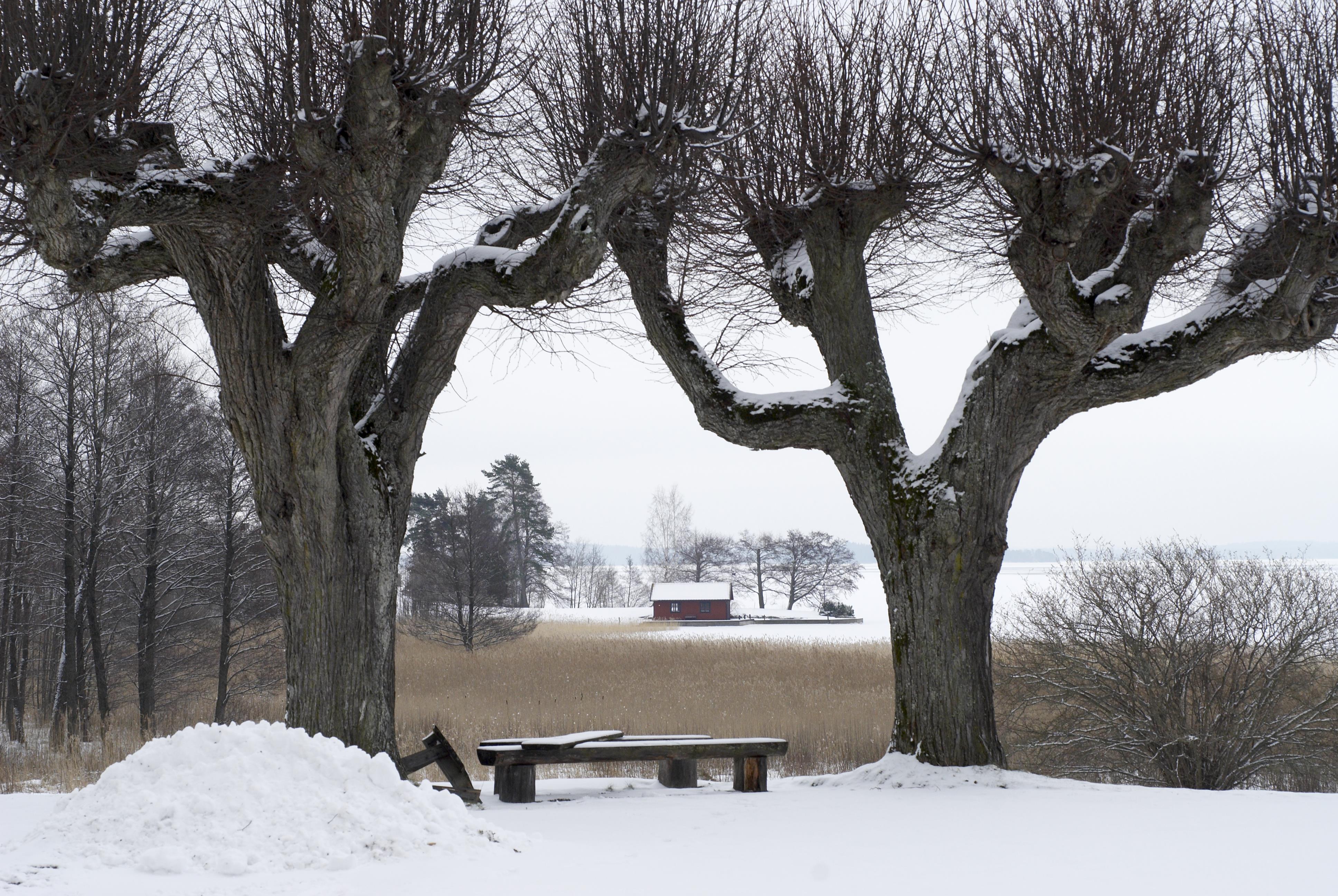 Bengt A Lundberg, Mälsåkers slott