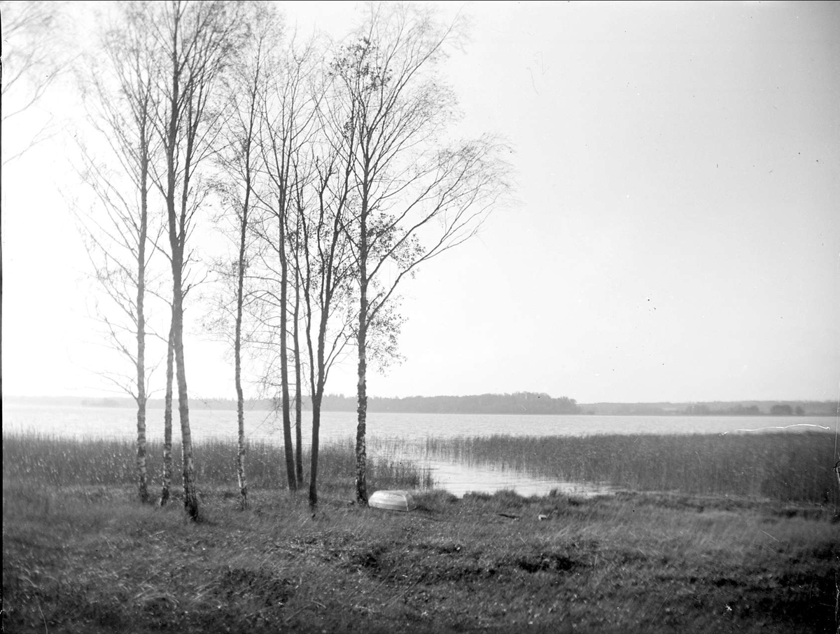 August Fredrik Schagerström, Strand at Fysingen, Skånelaholm, Skånela parish, Uppland 1928