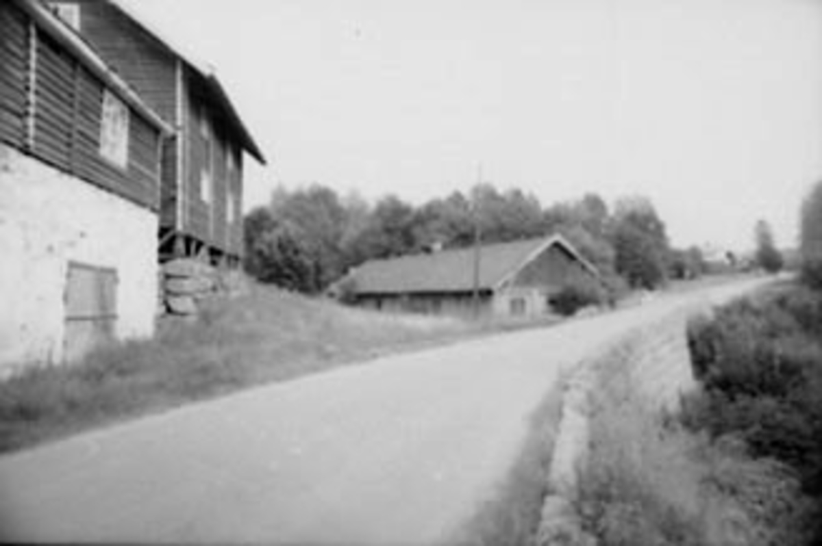Anno Domkirkeodden, VEGEN GJENNEM VIK GARD, UTHUS, TANGEN