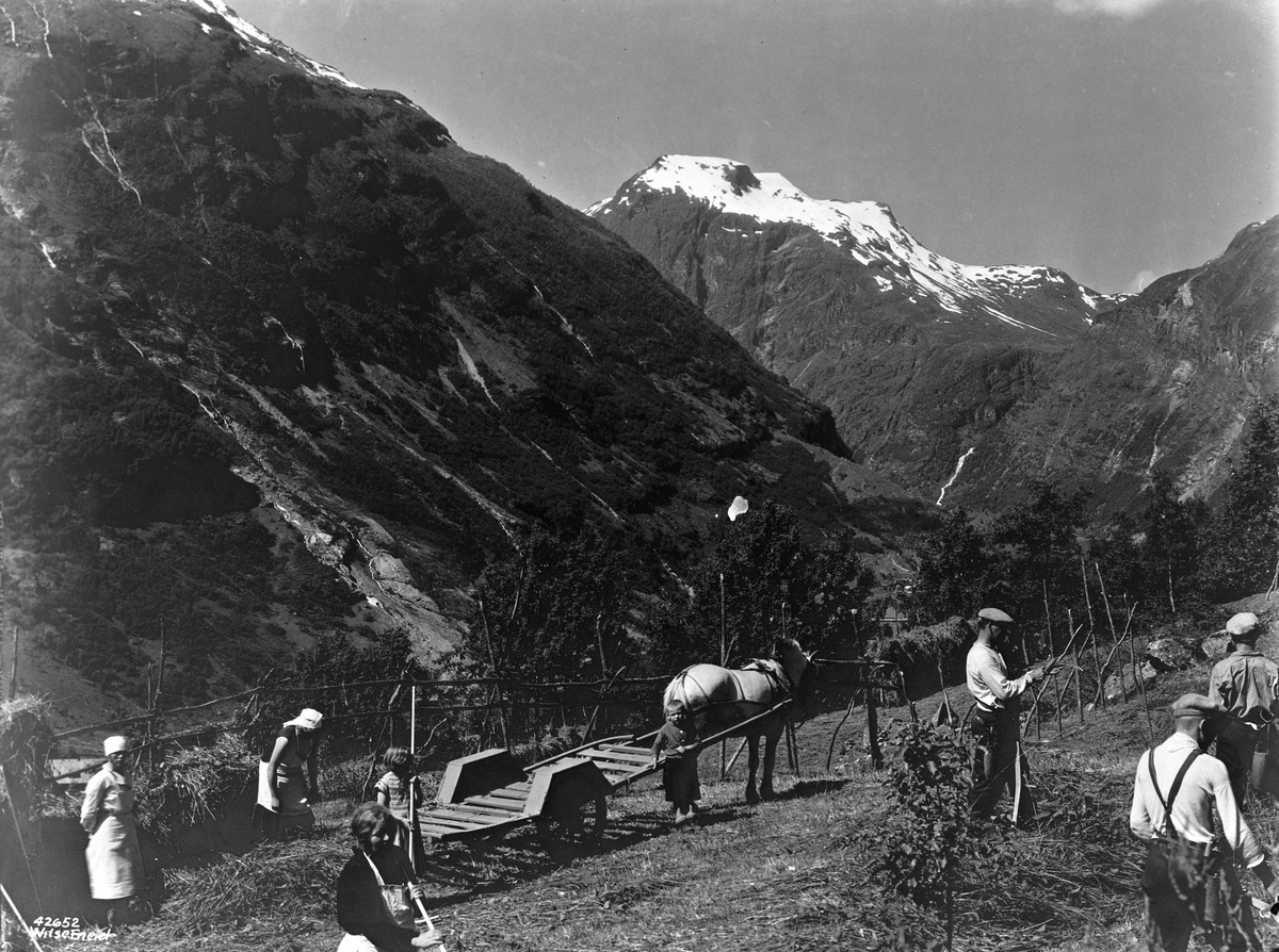 Anders Beer Wilse, Prot: Høiing i Geiranger