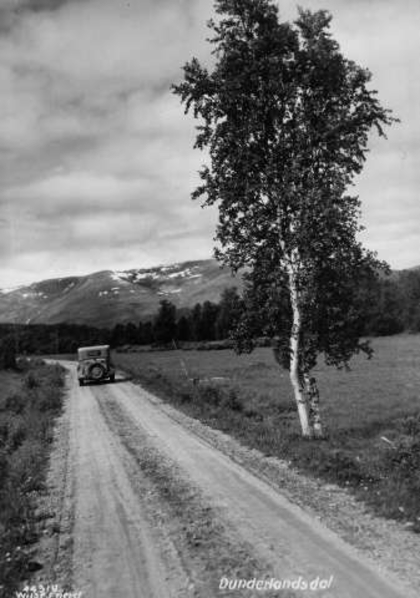 Anders Beer Wilse, -6459