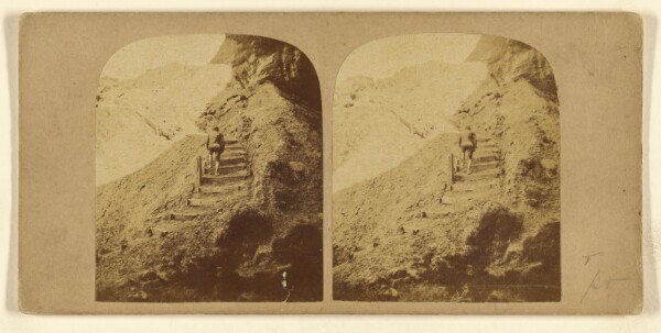 London Stereoscopic and Photographic Company, View at Black Gang, Isle of Wight.