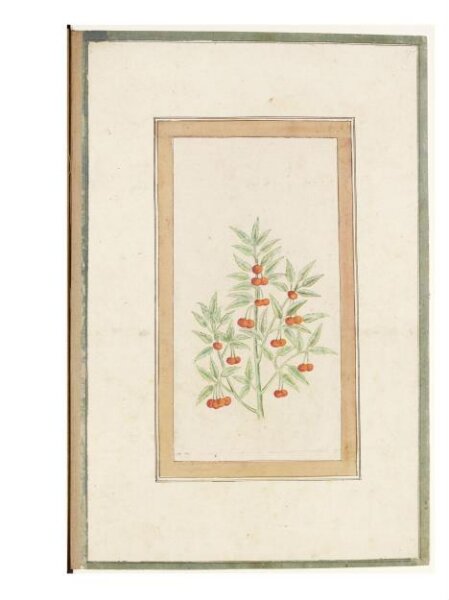 Unknown, Painting