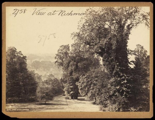 Francis Frith, Photograph