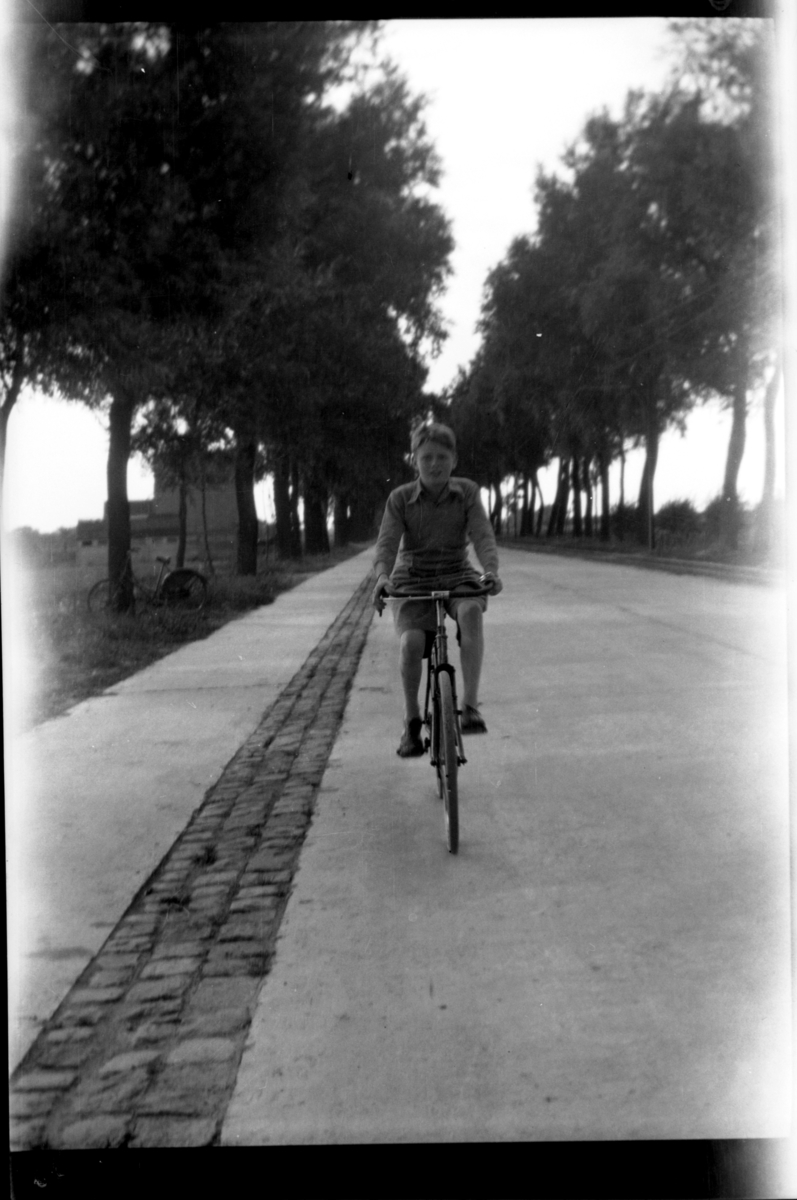 Rolf Sr. Sundt, NF.34664-702