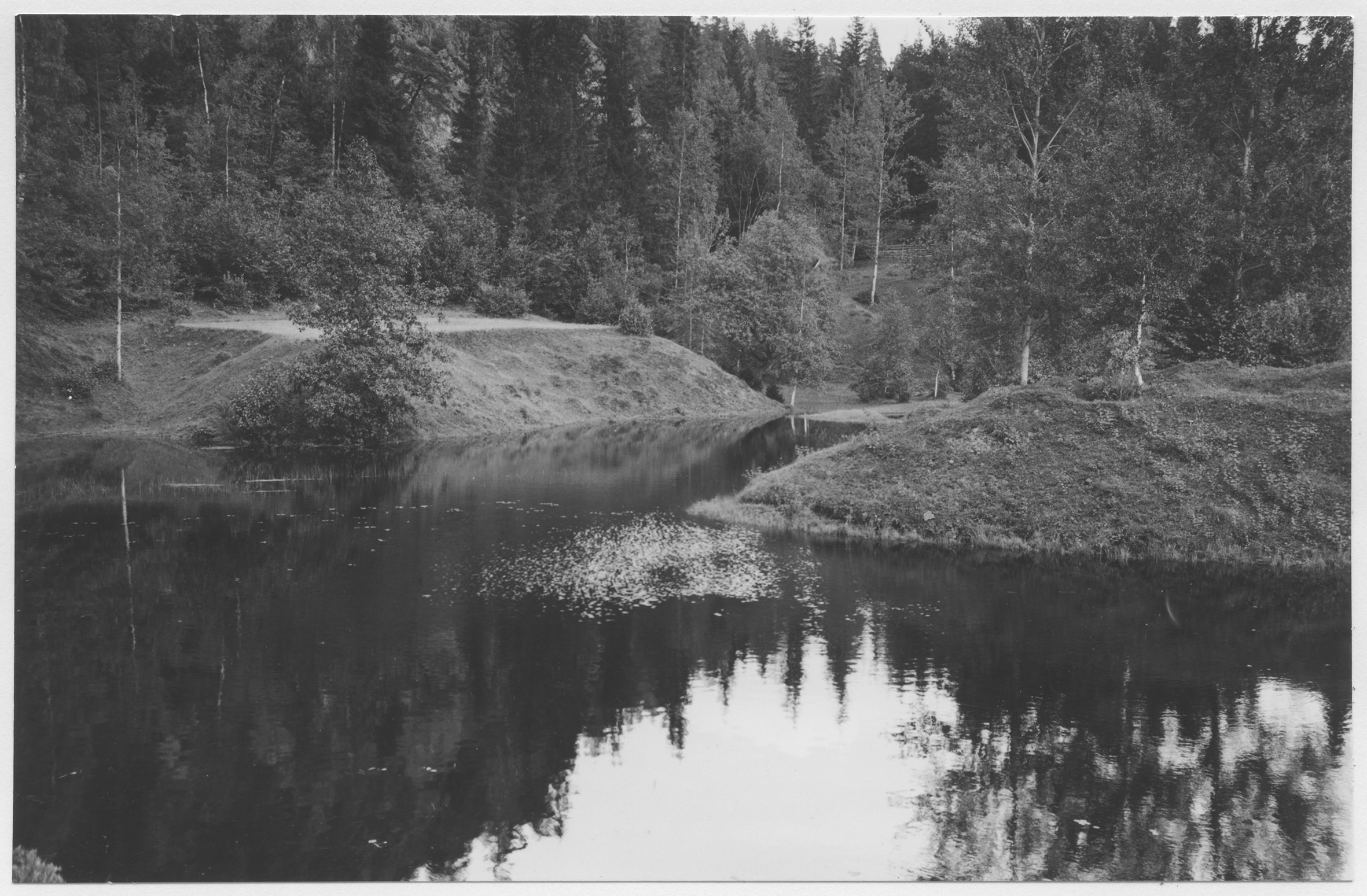 Mårten Sjöbeck, Skåle klint