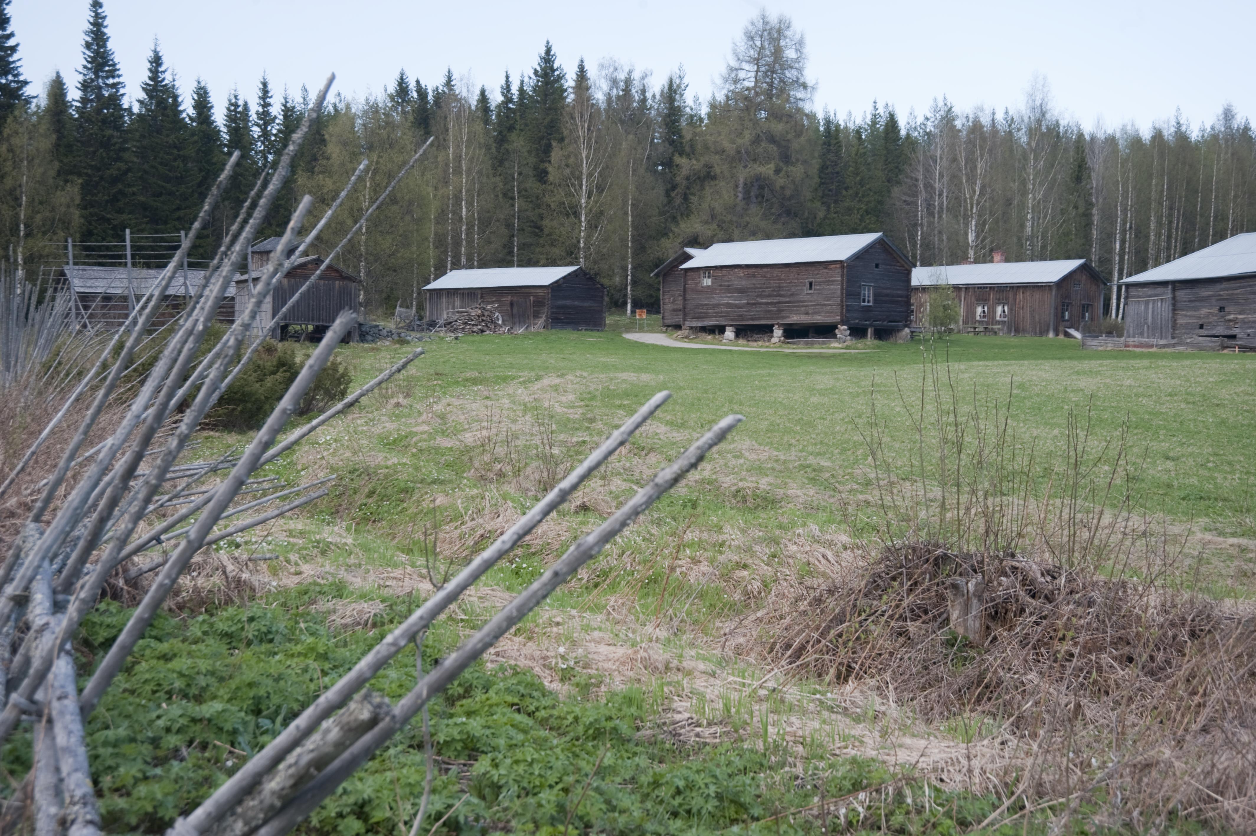 Bengt A Lundberg, Nordanstig Lindsjön 1:13