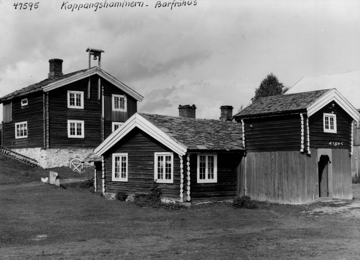 Anders Beer Wilse, Barfrostue Koppanghammern