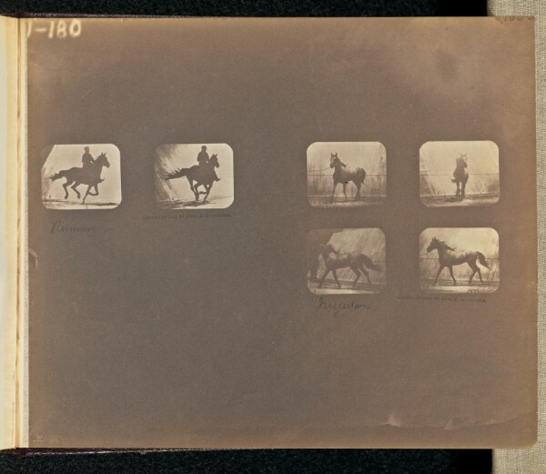 Eadweard J. Muybridge, Running. Irregular