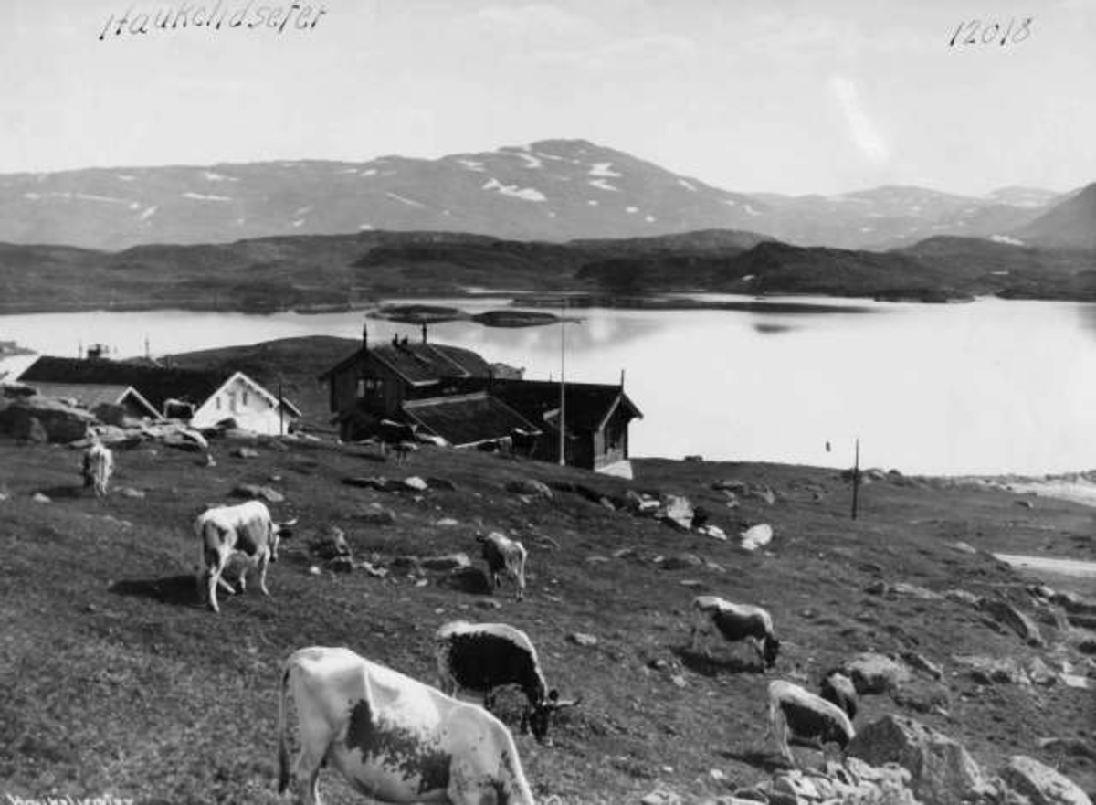 Anders Beer Wilse, -7896