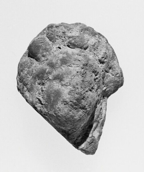 Unknown, Female Head