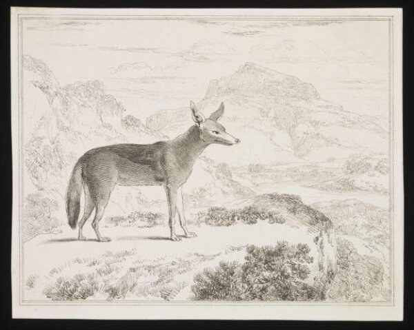 Unknown, Print