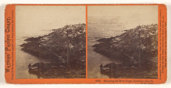 Carleton Watkins, Shipping the Murr Eggs, Farallone [sic] Islands, Pacific Ocean.