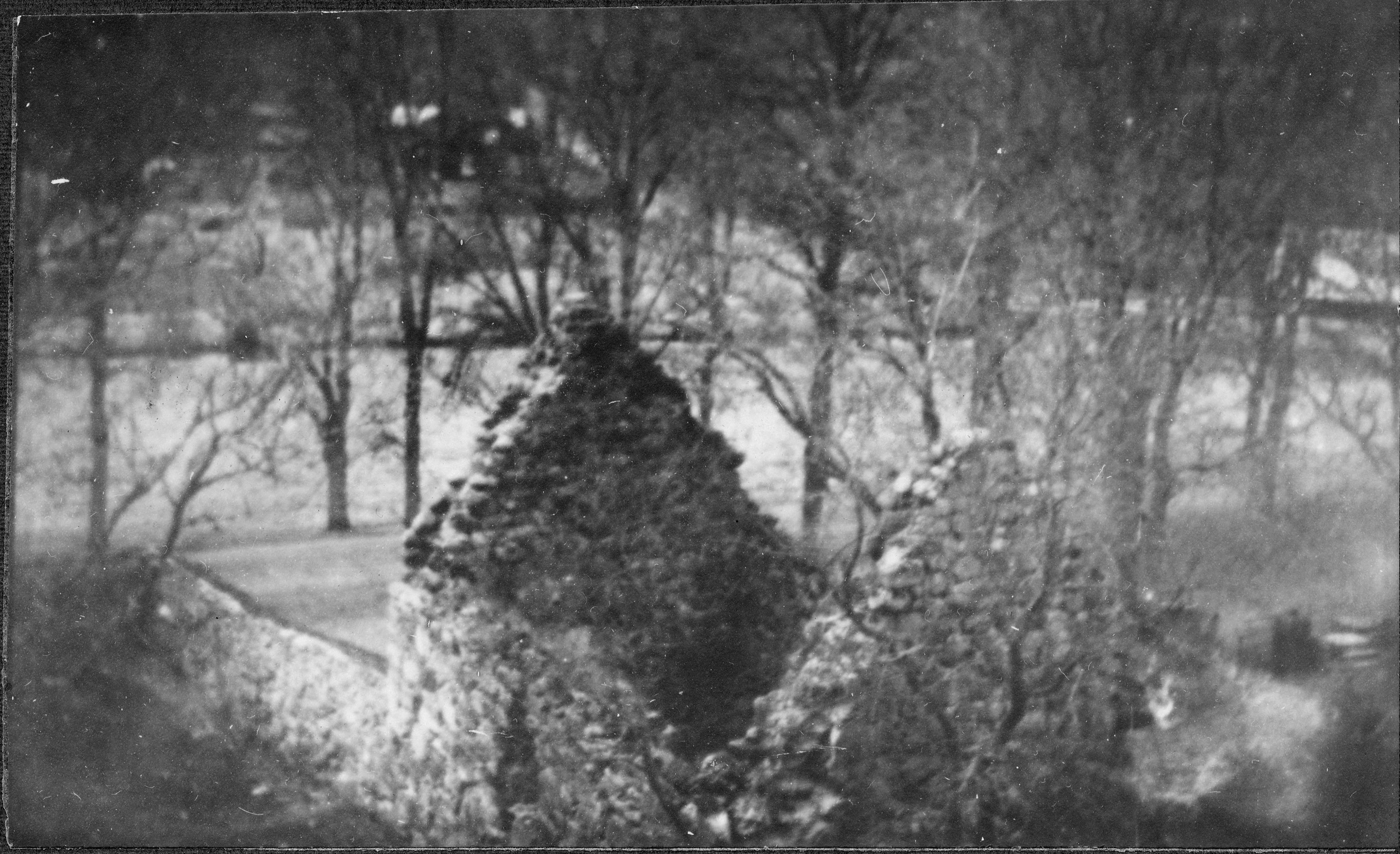 Sven Brandel, Nydala klosterruin