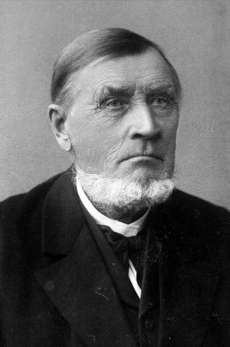 Gustav Borgen, Avfotografering.