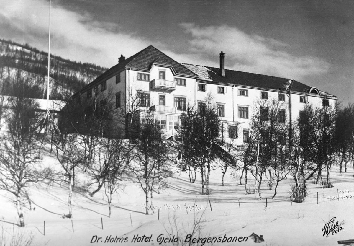 Anders Beer Wilse, Prot: Gjeilo Holm Hotel Neg: Dr. Holms Hotel Gjeilo Bergensbanen