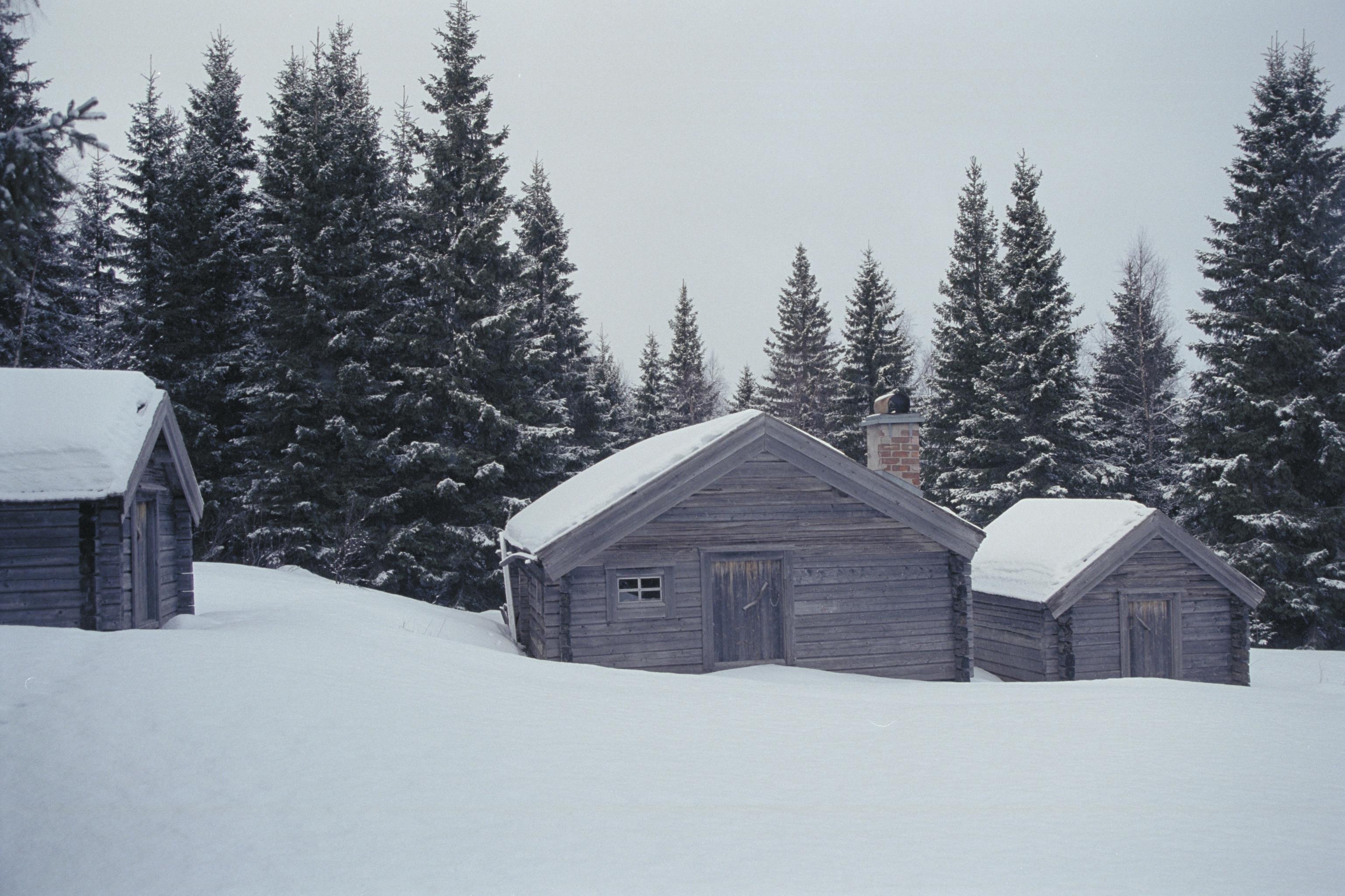 Bengt A Lundberg, Skuleskogens Nationalpark