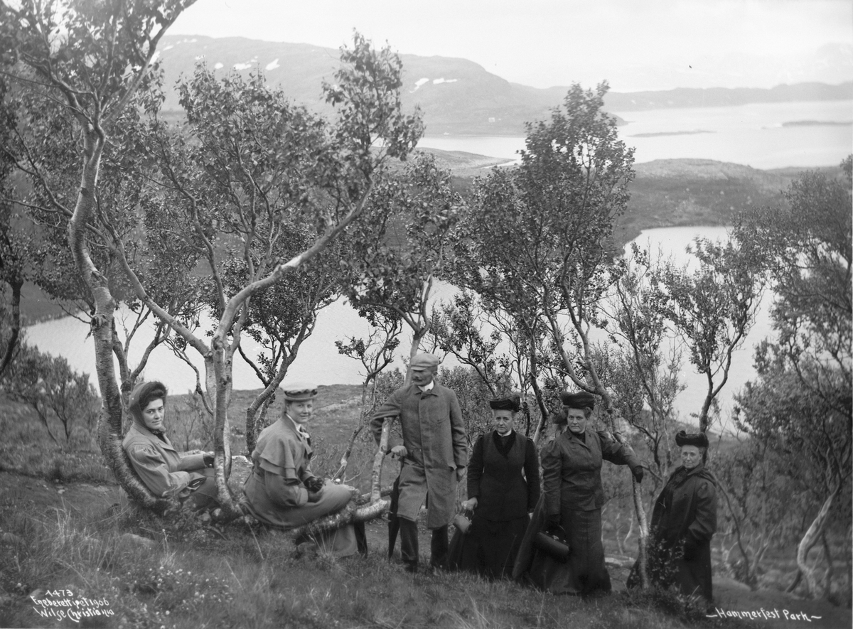 Anders Beer Wilse, Prot: Hammerfest - Parken gruppe 1906