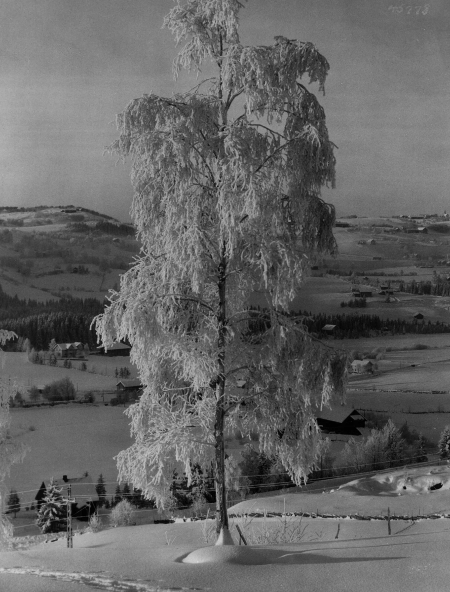 Anders Beer Wilse, Hadeland, sno, bebyggelse.