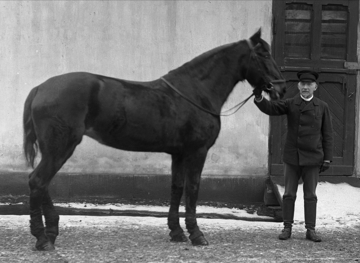 Gustav Borgen, Portrett, mann med ridehest.