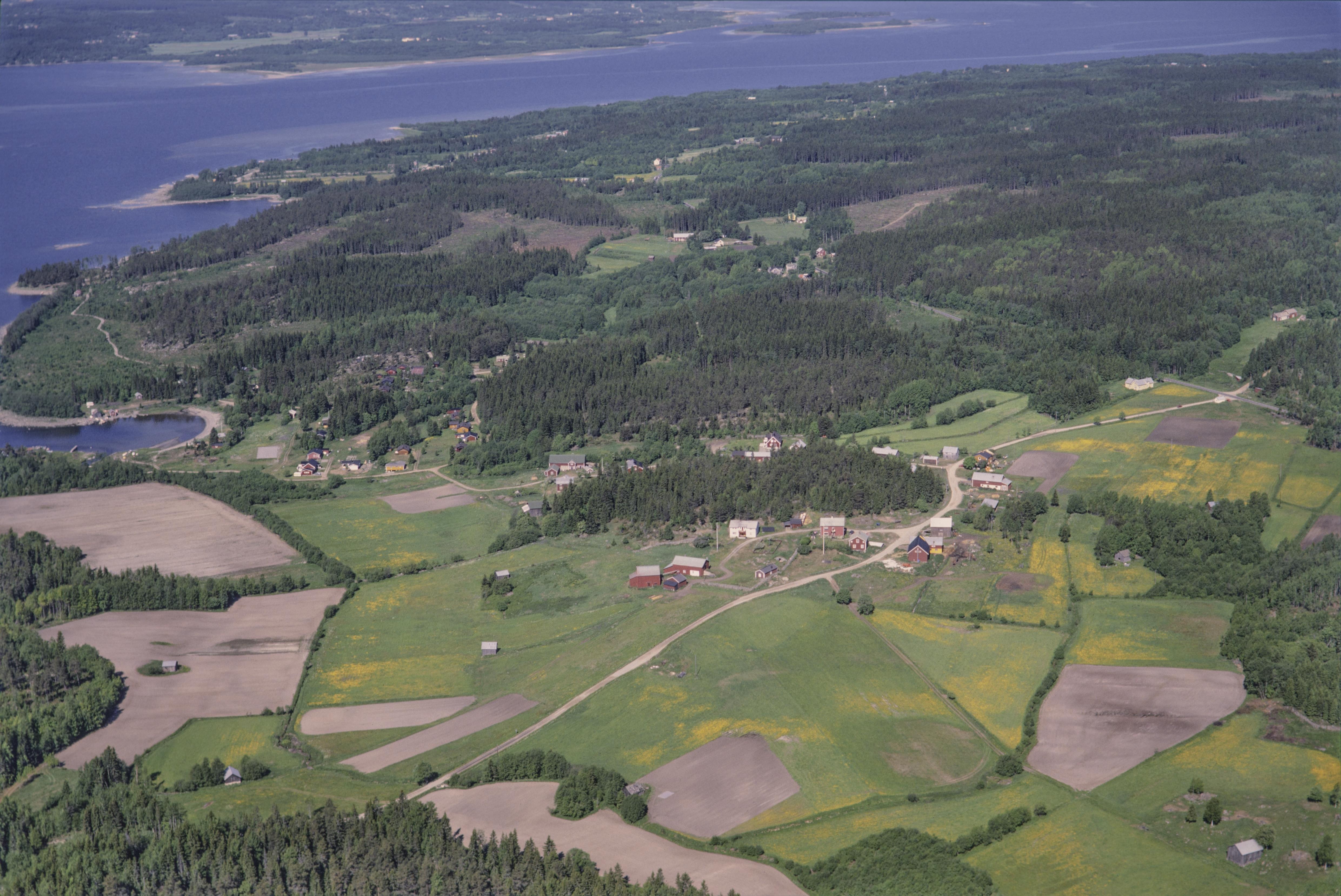 Jan Norrman, Tynderö 39:1